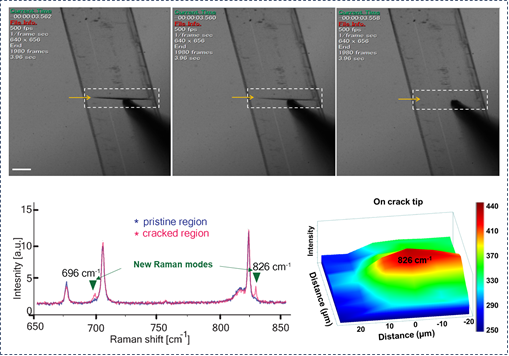 Raman micro -spectrometry